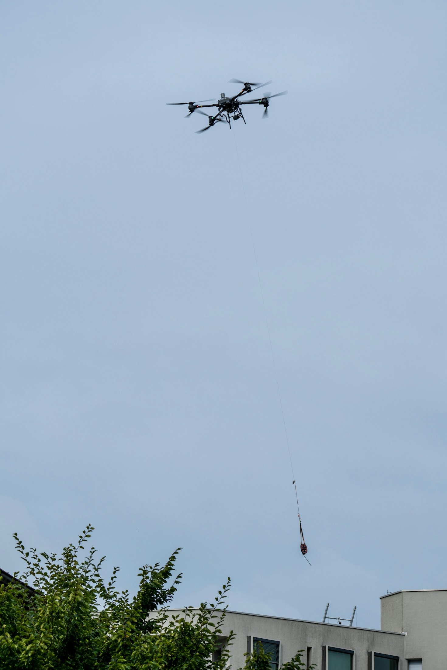 Autonomous Networks: The Future of Logistics